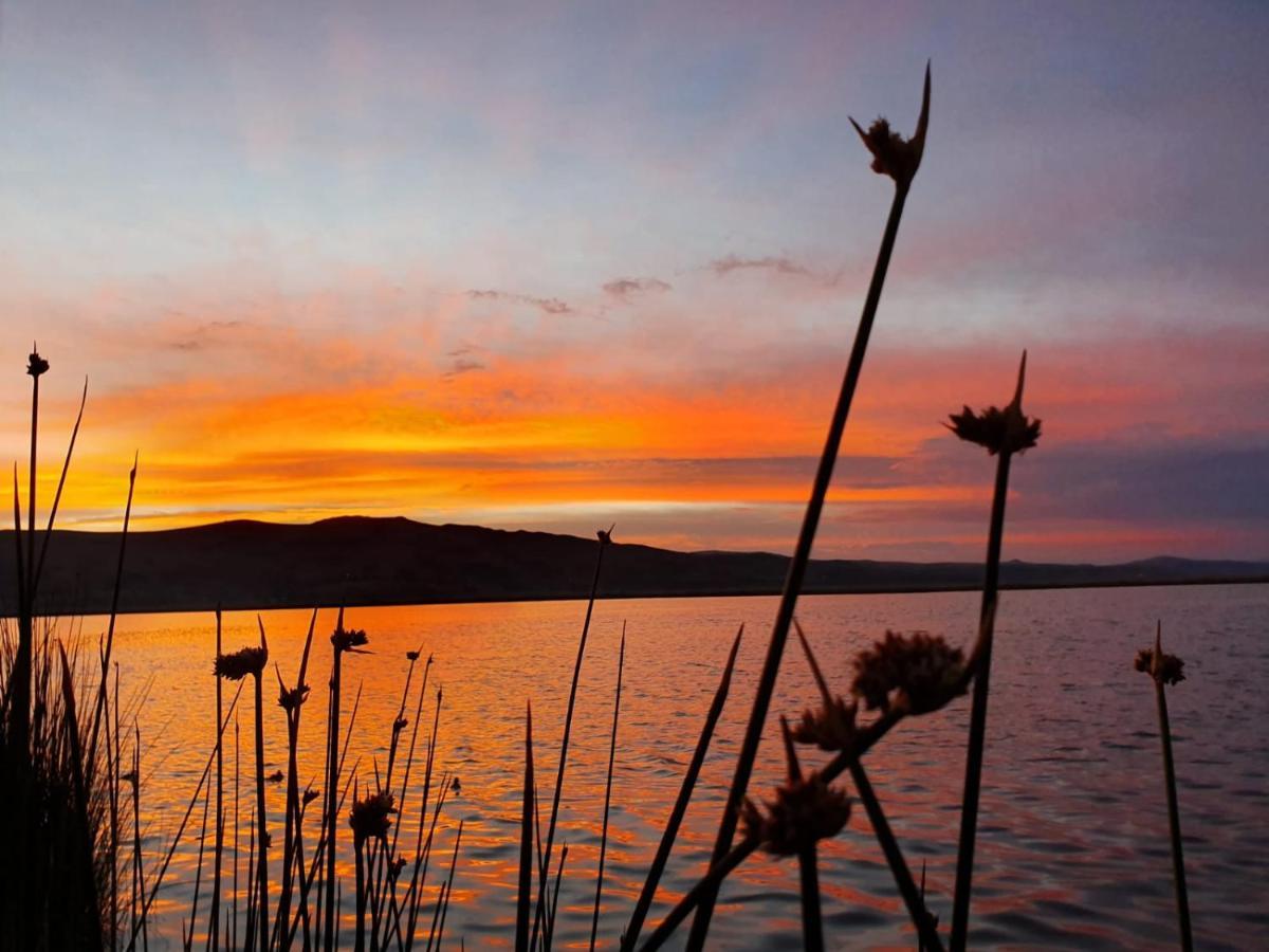 - Titicaca Dora Lodge